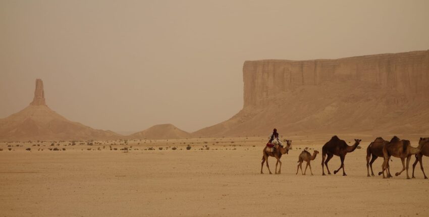 Riyadh : yksityinen suihkukone vuokraus 