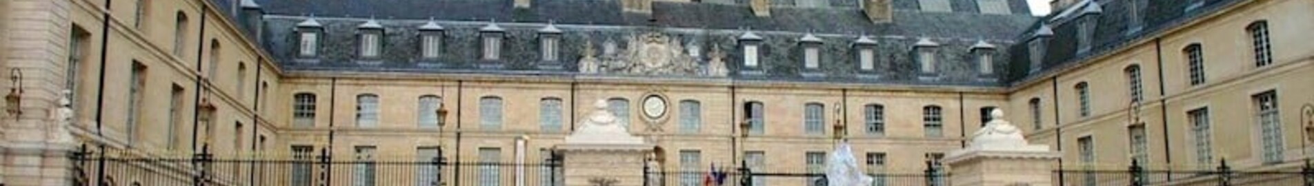 Dijon Burgundy : yksityisen suihkukoneen vuokraus 