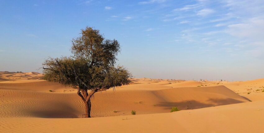 Abu Dhabi: yksityisen suihkukoneen vuokraus 