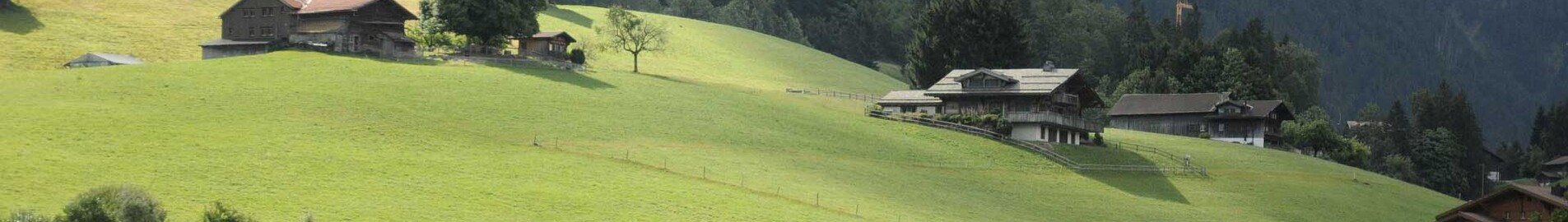 Pariisi - Gstaad : yksityisen suihkukoneen vuokraus 