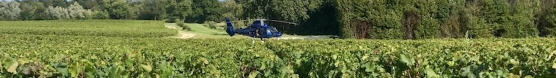 Tutustu viinitarhoihin helikopterilla
