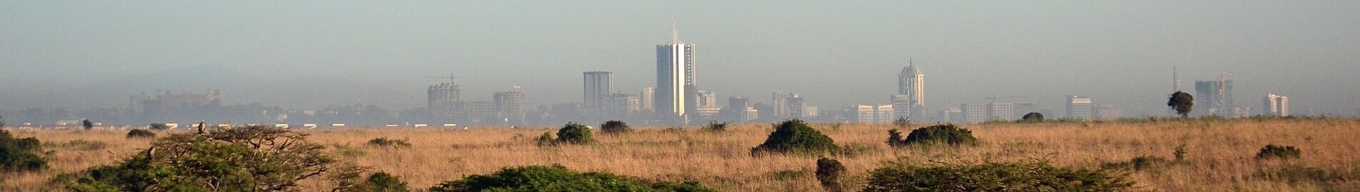 Nairobi: yksityisen suihkukoneen vuokraus 