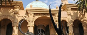 Johannesburg : yksityisen suihkukoneen vuokraus 