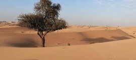 Yksityinen suihkukone Charter Dubaissa
