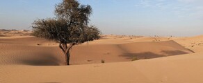 Abu Dhabi: yksityisen suihkukoneen vuokraus 