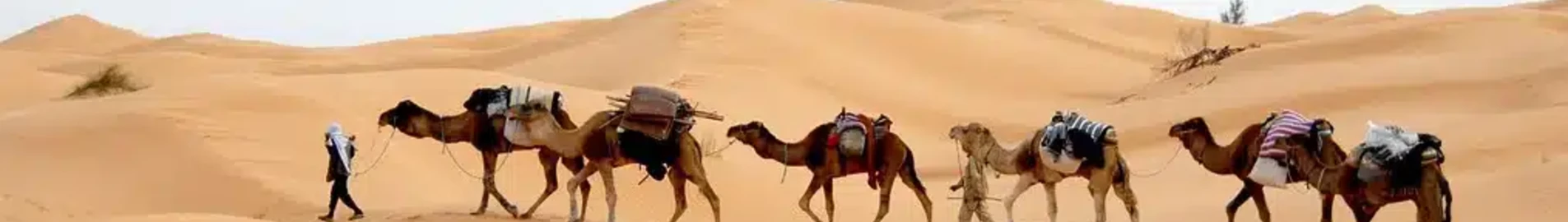 Tunis: yksityisen suihkukoneen vuokraus