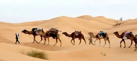 Djerba Zarzis : yksityisen suihkukoneen vuokraus