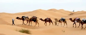 Tunis: yksityisen suihkukoneen vuokraus