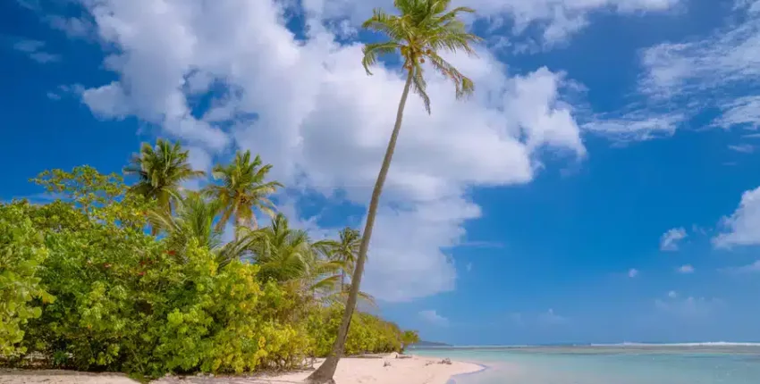 Guadeloupe: yksityisen suihkukoneen vuokraus 