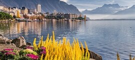 Cannes - Gstaad : yksityisen suihkukoneen vuokraus
