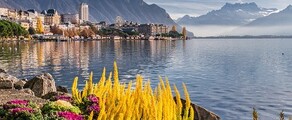 Hampuri - Geneve : yksityisen suihkukoneen vuokraus