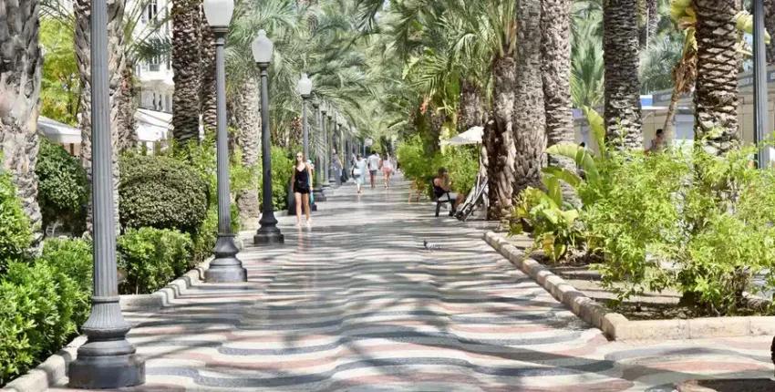 Alicante Elche : yksityisen suihkukoneen vuokraus 