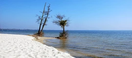 Belle île : yksityisen suihkukoneen vuokraus 