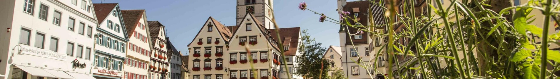 Biberach An Der Riss : yksityisen suihkukoneen vuokraus 
