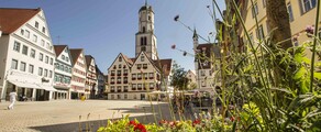 Biberach An Der Riss : yksityisen suihkukoneen vuokraus 