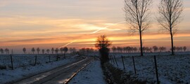 Brustem Sint Truiden : yksityisen suihkukoneen vuokraus 