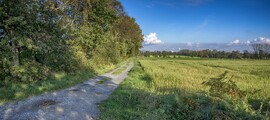 Eggenfelden : yksityisen suihkukoneen vuokraus 