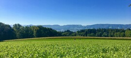 Yksityinen suihkukoneen vuokraus Fribourg-Ecuvillensissä 