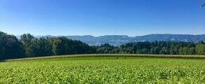 Dubendorf: yksityisen suihkukoneen vuokraus 