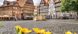 Düsseldorf: yksityisen suihkukoneen vuokraus 