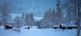 Kitee : yksityisen suihkukoneen vuokraus 