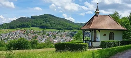 Saarbrucken : yksityisen suihkukoneen vuokraus