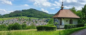 Lahr Black Forest: yksityinen suihkukone vuokraus 