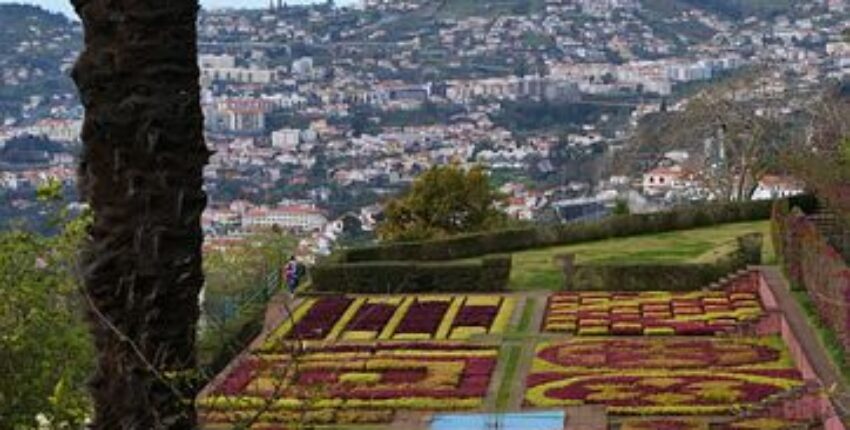 Funchal Madeiran saarella : yksityinen suihkukone vuokraus 
