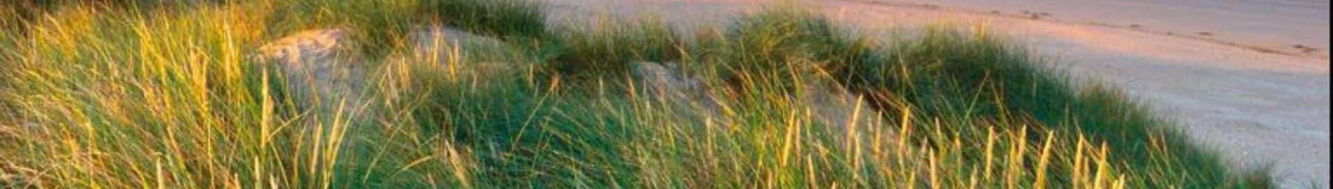 Pembrey: yksityisen suihkukoneen vuokraus 