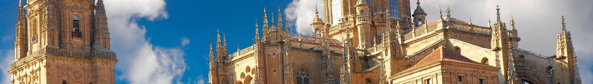 Salamanca Matacan : yksityisen suihkukoneen vuokraus 