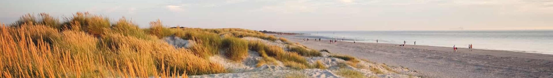 Wittering : yksityisen suihkukoneen vuokraus 