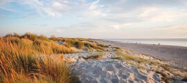 Anglesey : yksityisen suihkukoneen vuokraus 