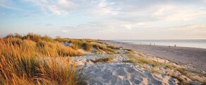 Wittering : yksityisen suihkukoneen vuokraus 