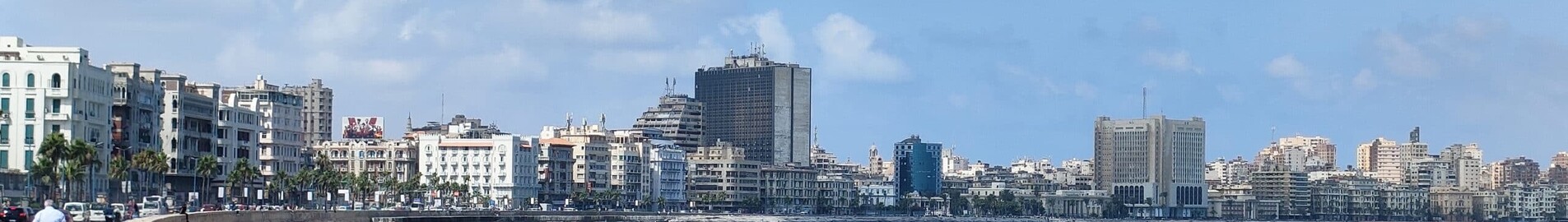 Alexandria Army : yksityisen suihkukoneen vuokraus 