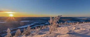 Arvidsjaur : yksityisen suihkukoneen vuokraus