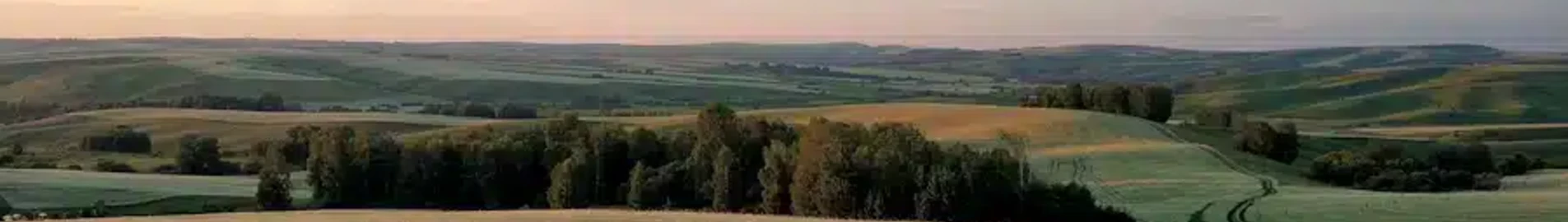 Barnaul : yksityisen suihkukoneen vuokraus