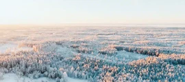 Ruotsi: Yksityisen suihkukoneen vuokraus