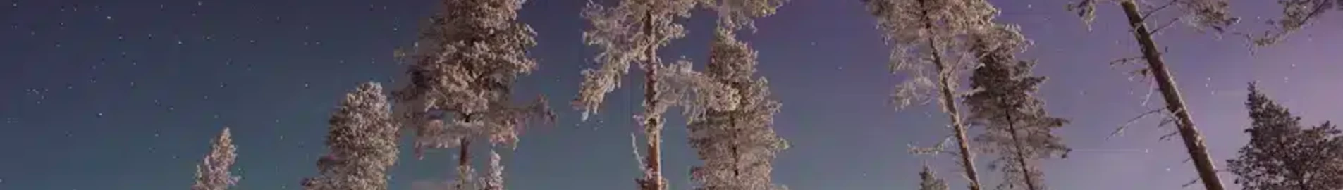 Gallivare Lapland : yksityisen suihkukoneen vuokraus