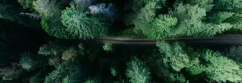 tulcea : location de jet privé