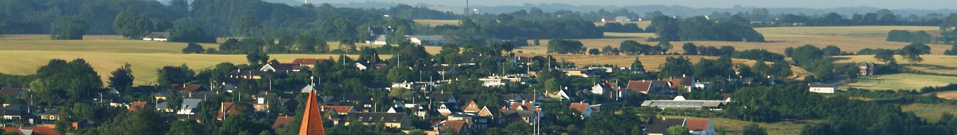 Haderslev : yksityisen suihkukoneen vuokraus 