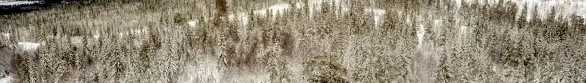 Hagfors : yksityisen suihkukoneen vuokraus