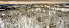 Hagfors : yksityisen suihkukoneen vuokraus
