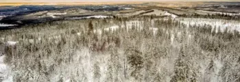 Arkhangelsk Talagi : location de jet privé