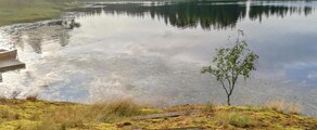 Halli: yksityisen suihkukoneen vuokraus
