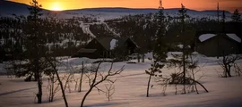Kalixfors : yksityisen suihkukoneen vuokraus
