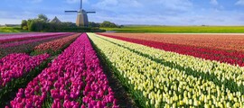 Rotterdam: yksityisen suihkukoneen vuokraus