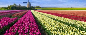 Hoogeveen : yksityinen lentopaikka