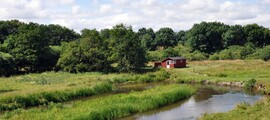 Maribo Lolland Falster : yksityisen suihkukoneen vuokraus 