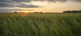 Nizhnekamsk Begishevo : yksityisen suihkukoneen vuokraus