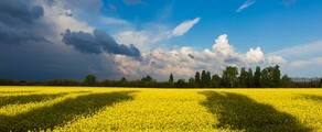 Khmelnitsky : yksityisen suihkukoneen vuokraus